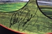Autographed Dale Earnhardt "360" Original 1994 Sam Bass 25" X 22" Print w/ COA - SB-DE360AUT-T22